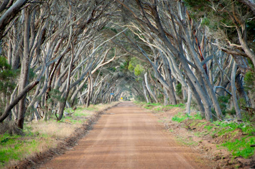 Kangaroo Island day trip self-drive