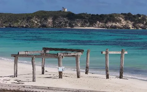 Hamelin Bay Stingrays: A Mesmerizing Encounter with Western Australia’s Gentle Giants