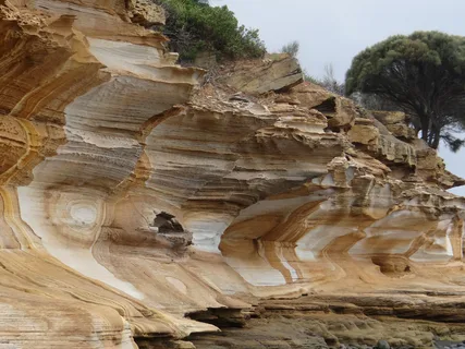 Maria Island Tasmania – Unveiling the Natural Beauty and Wildlife Wonders