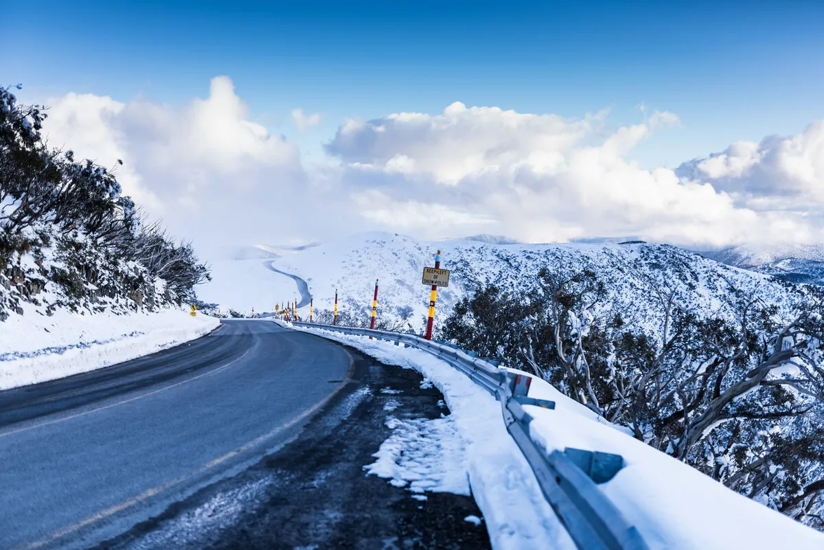 Adventure Awaits: Snowshoeing Trails Near Melbourne